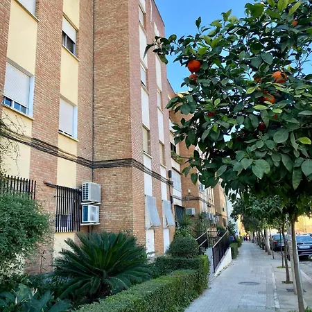 Virgen De Fatima קורדובה